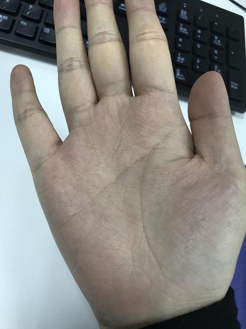 有会看掌纹的鹅吗?