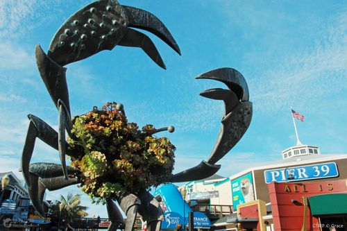 html 好莱坞环球影城,随心所欲体验心仪项目,惊险刺激不枉此行!