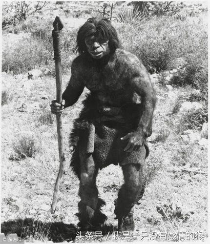 野人婚配生子民间故事,世上有野人吗?