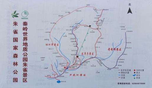 朱雀国家森林公园攻略图片搜索