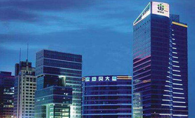 康恩贝营收净利双降 频繁转型试水仍难解