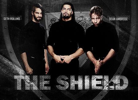 wwe捍卫者壁纸,不要告诉我自己找,最好发图,好的加分