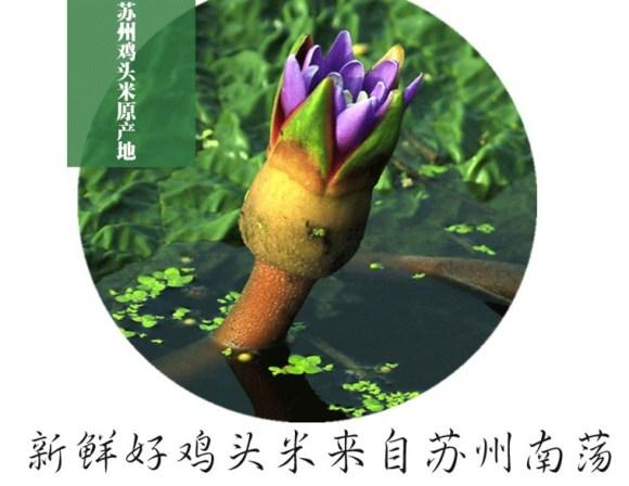 那为什么鸡头米不是生长在水中的么,它怎么不是凉性,我国的中医学上有