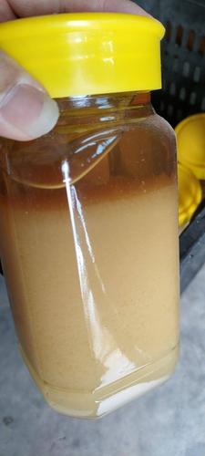 鸭脚木蜜 冬蜜鸭脚木花蜜