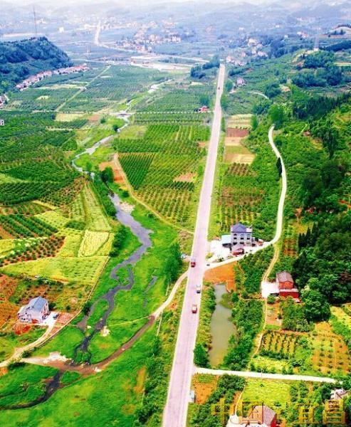 夷陵区鸦鹊岭镇获誉"中国民间礼俗音乐之乡"