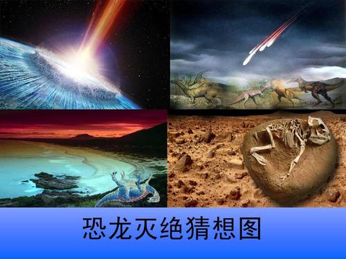《恐龙的灭绝》课件