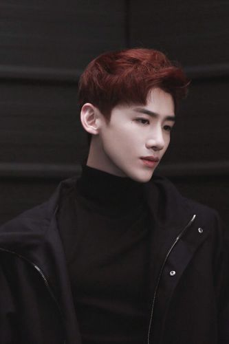 白敬亭分享181215今日分享令鸽圈疯狂的红发白敬亭