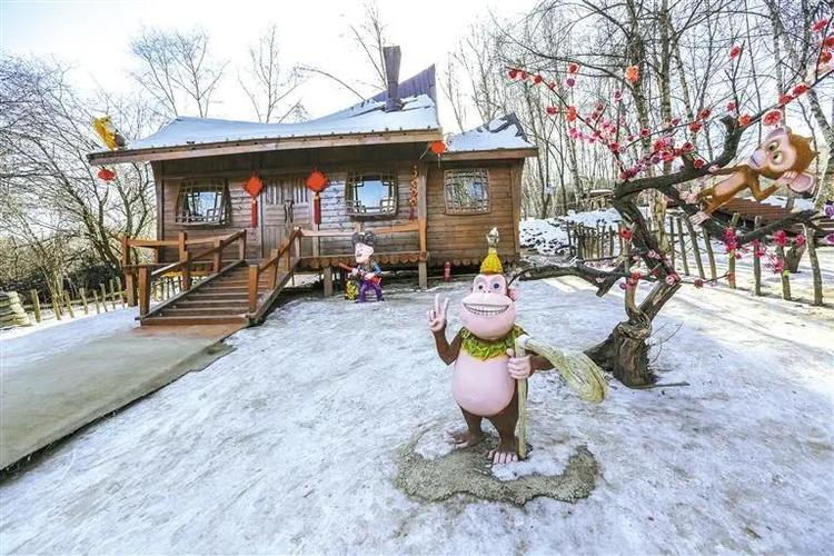 等你在康乐那片白桦林