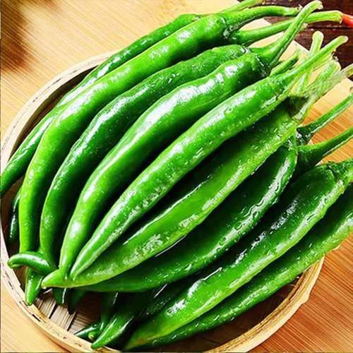 二荆条青线椒农家自种贵州高山辣椒中辣杭椒应季蔬菜尖椒1斤装青线椒