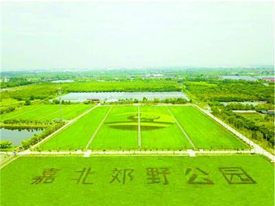 嘉北郊野公园24日正式开放 80亩儿童林成一大特色