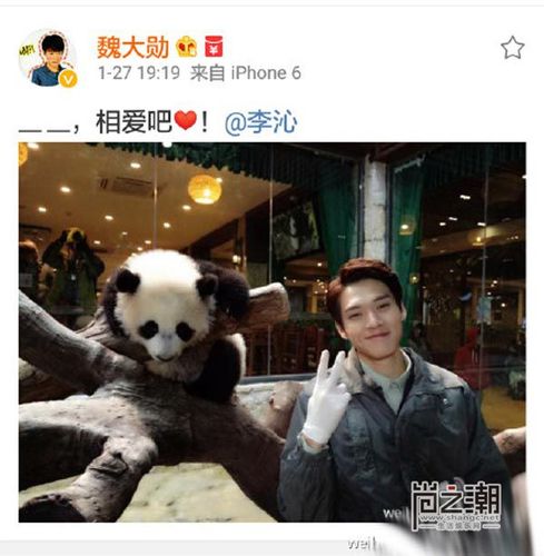 李沁魏大勋确认加入我们相爱吧 二人组cp受期待