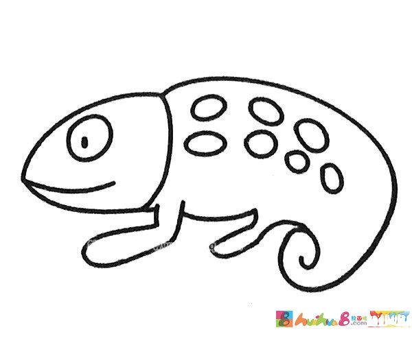 6款可爱的卡通变色龙简笔画图片