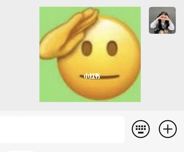 向你敬礼salute_表情包_素材_表情包