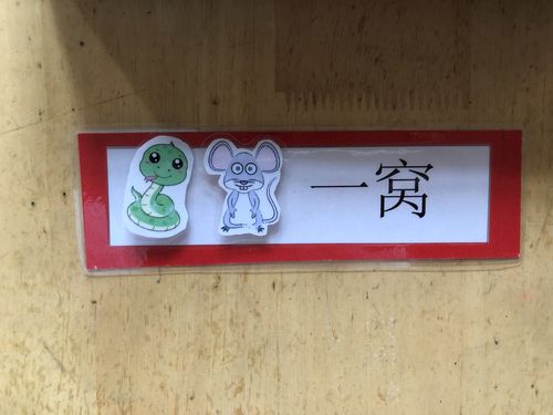 例:如图"蛇鼠一窝",即找出""和""的卡片贴在背面相应位置.