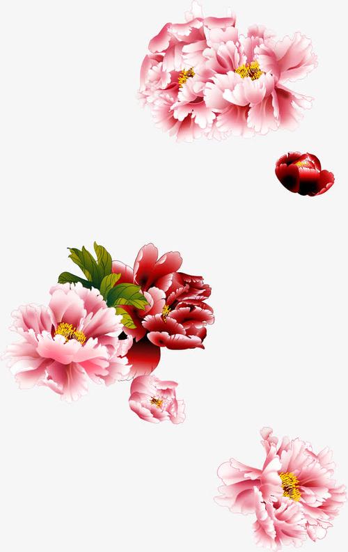 牡丹花工笔设计图