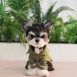 【雪纳瑞幼犬小型】雪纳瑞幼犬小型品牌,价格