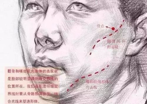 女性素描头像结构绘画教程