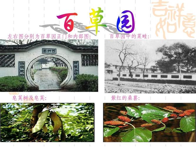 《从百草园到三味书屋》ppt课件精选1
