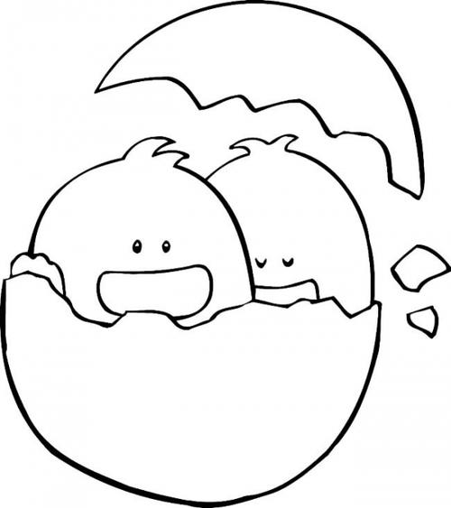 破壳而出的两只小鸭子的简笔画作品