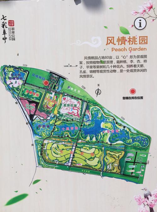 春季出游——盐城.七彩阜宁国家农业公园