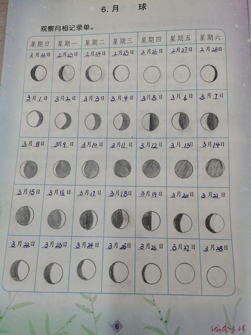 看到学生的作业,老师脸都红了|科学课|学生会|月相