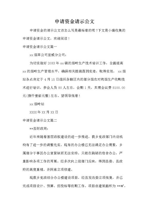 申请资金请示公文.docx 4页