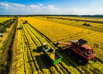 崇明推出5万亩优质土地进行招商 现场意向企业达130余家