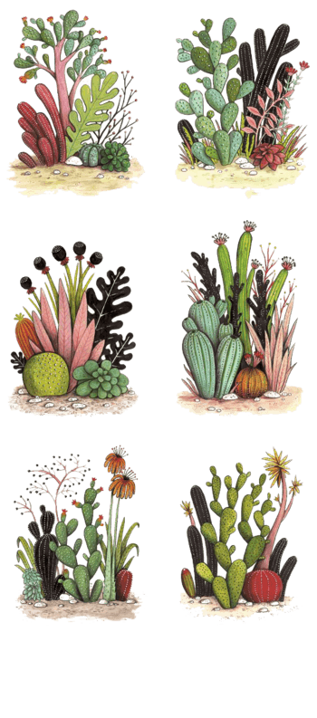 六组沙漠植物小景手绘