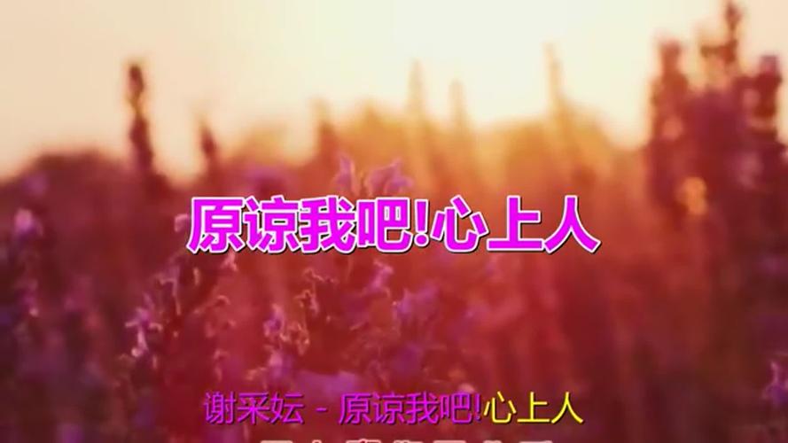 《原谅我吧心上人》《想你在梦里》《无情风无情雨》《负心的你》