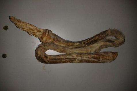 虎鞭检测年代可以吗国际科学院检测虎鞭年代正规研究院15002152902