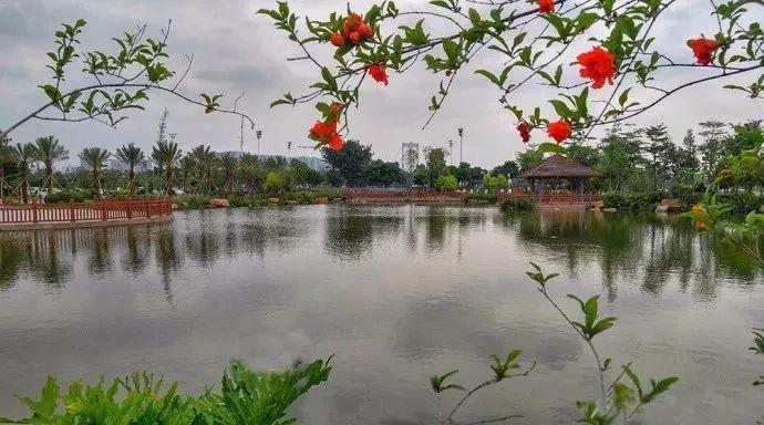 等你睡个懒觉再慢慢过来 半月岛湿地公园 哪怕阴天你也能收获 一番