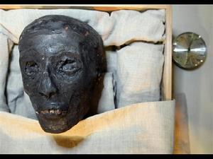 > 查看版本  艾是图坦卡蒙最亲近的侍从,是这个年轻男孩的大臣.