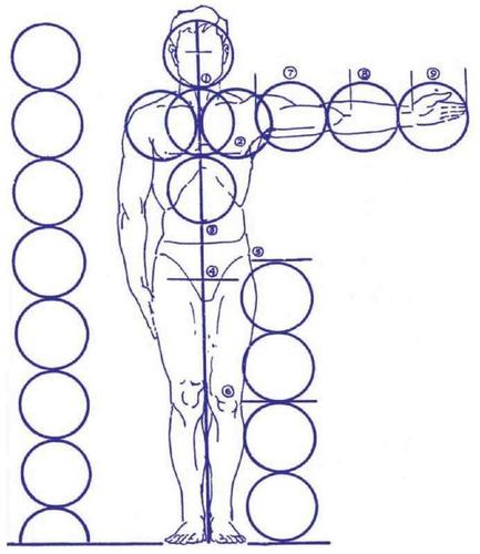 学画人体素描必须了解人体比例