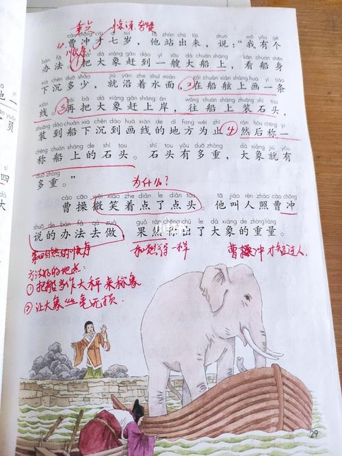 这个故事耳熟能详,体现曹冲的聪明才智,重点讲解第四自然段,两种称象