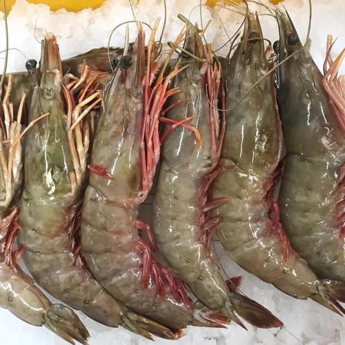 白雪蟹 :$135/kg (原价$168/kg) 龙虎斑 :$17.