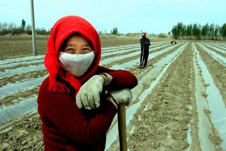 民勤人群像:民勤的女人们