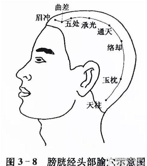 头部有哪些经络 哪些疼痛和哪些经络有关 收藏起来 发给你年迈的父母