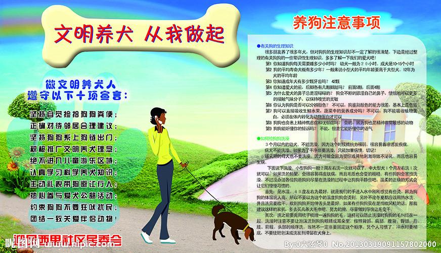 文明养犬图片