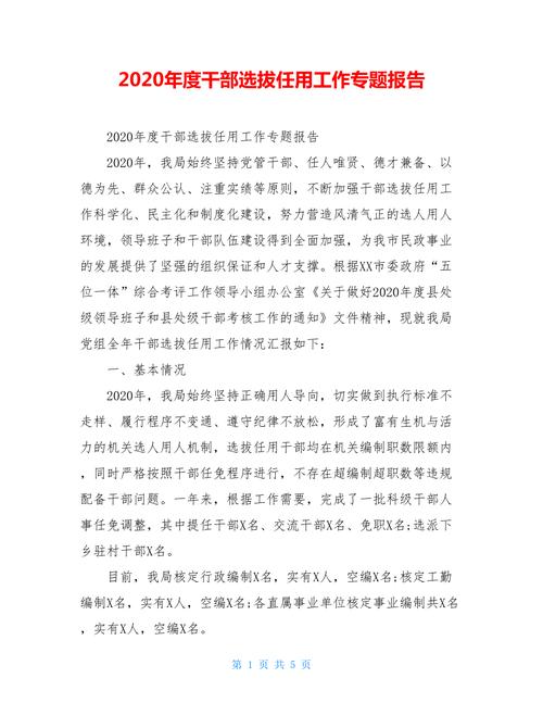 2020年度干部选拔任用工作专题报告