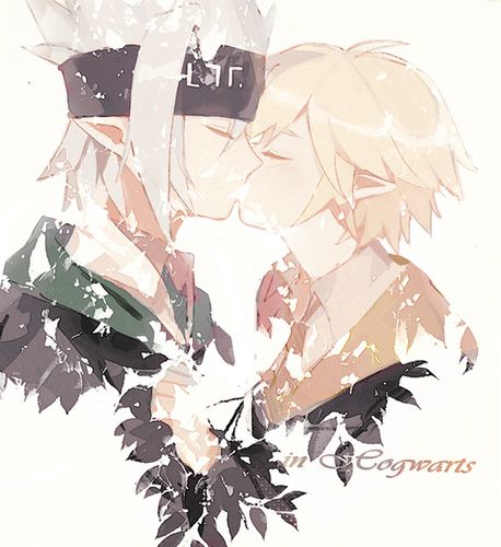 71凹凸世界·aotu71瑞金,格瑞x金