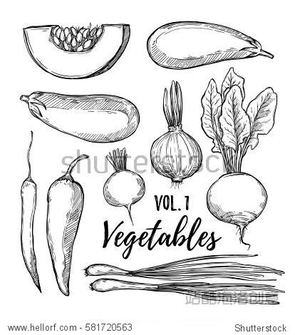 1(pumpkin eggplant onion pepper turnip radish chili pepper).