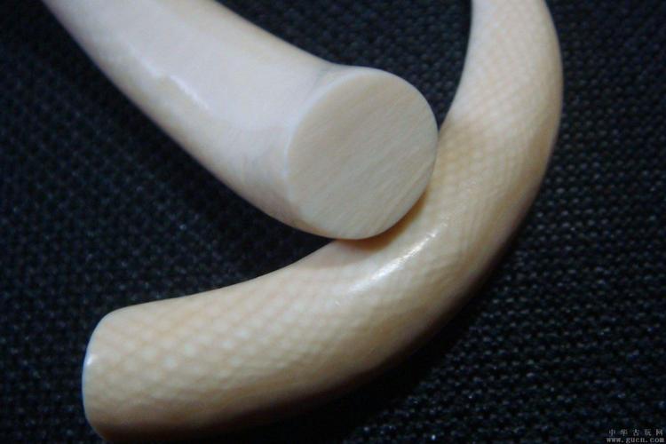 女人佩戴象牙禁忌需要注意什么