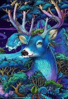 儿童画 写生 速写 线描 静物 人物 水粉 油画棒 重彩 色彩 黑白 线条