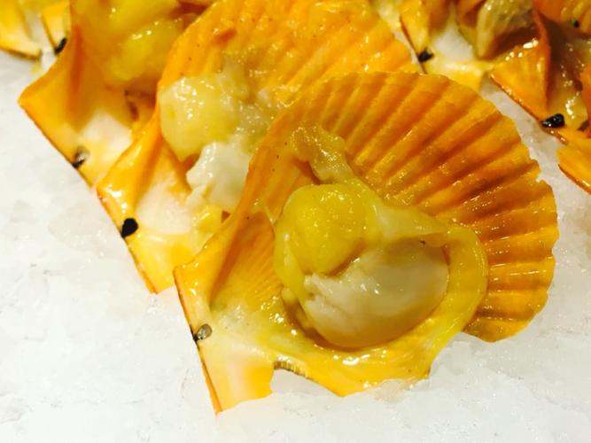 金黄色扇贝,好吃!
