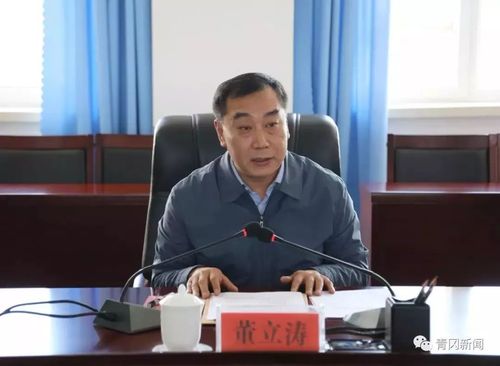 10月16日,青冈县委常委,副县长董立涛主持召开了青冈县政府与县总