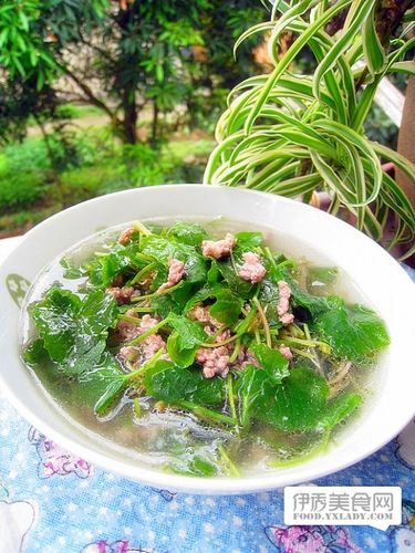 肉末雷公根汤