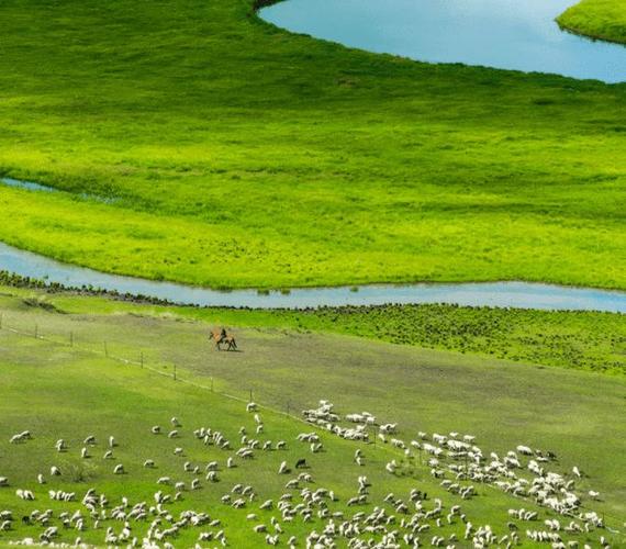 六月初夏限定风景呼伦贝尔大草原美出天际