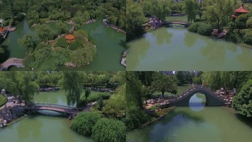 西苑 园林 航拍公园 亭子 小桥视频素材
