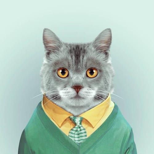 周三卡通漫画 《动物肖像画》