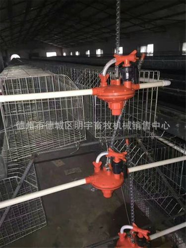 水线用控水阀双向反冲式调压器水线减压阀鸡用自动水线系统养殖用
